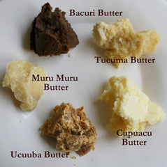 Butters Sampler and Packs - Bacuri, Cupuacu, Murumuru, Tucuma, Ucuuba. - Rainforest Chica
 - 2