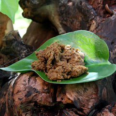 Bacuri Butter - Rainforest Chica
 - 1