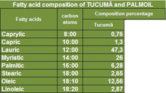 Tucuma Butter -  Vegetable silicone, hair care, antioxidant. - Rainforest Chica
 - 4
