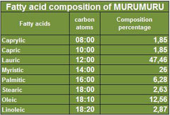 Murumuru Butter - Hair care, vegetable silicone, sensitive skin. - Rainforest Chica
 - 3