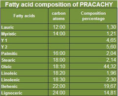Pracaxi Oil - Pracachy Oil - Rainforest Chica
 - 7