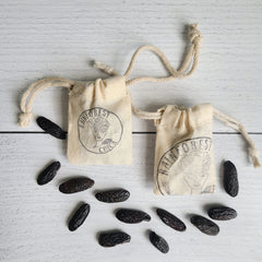 Little Bags of Tonka Beans - Cumaru Seeds