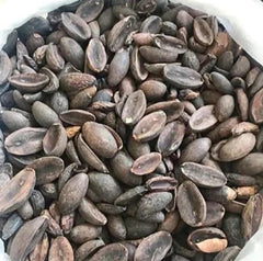 Pixuri Seeds - Puxuri, Puxurim