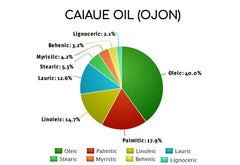 Caiaué (OJON™) Oil - Damaged and chemically treated hair.